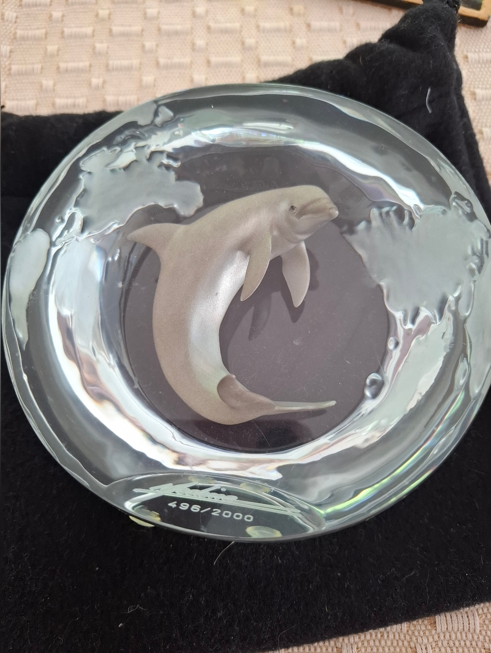Dan Medina Signed One Dolphin Clear Sculpture